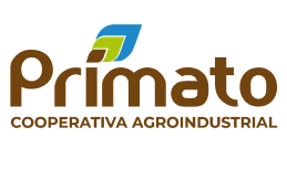 Group (18)