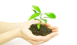 shutterstock_115873216