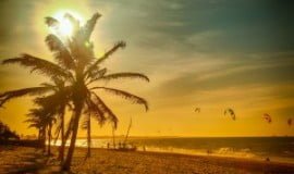 shutterstock_222295534-300x201