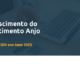 Capa do Estudo Investimento Anjo 2024