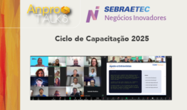 Ciclo AnproTalks Especial Sebraetec NI encerra 2025 com mais de 500 inscritos e prepara expansão para 2026