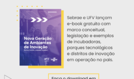 Sebrae e UFV lançam e-book sobre nova geração de ambientes de inovação